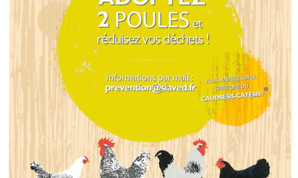 SIAVED - OPERATION POULES REGIONALES 2024