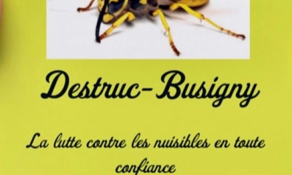 DESTRUC - BUSIGNY